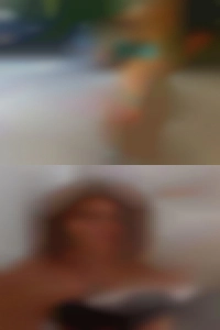 needapet2, 