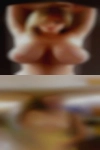 Local horny housewives sex free